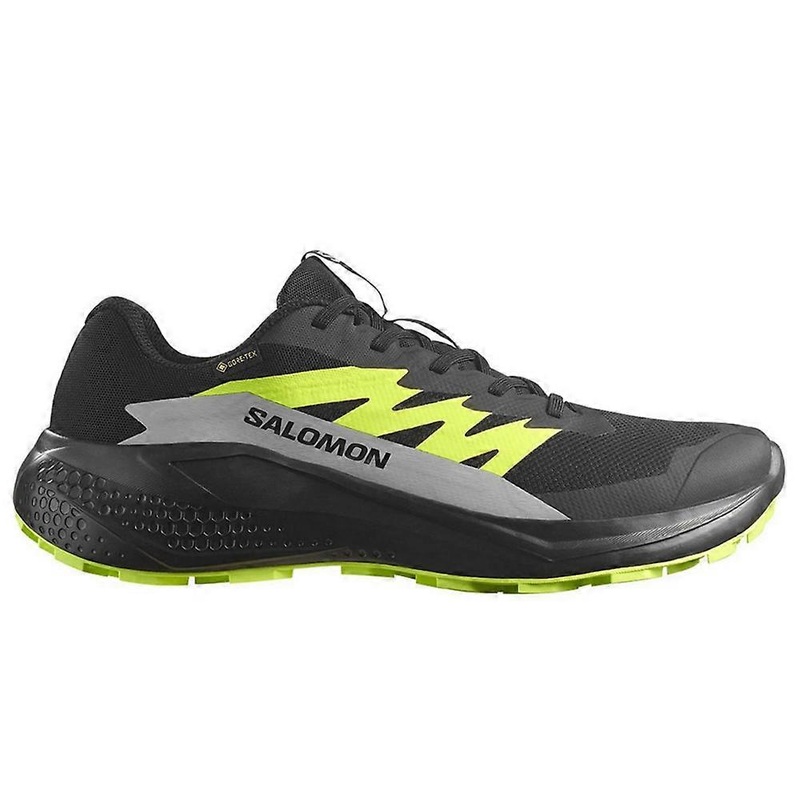 Shoes Salomon Alphaglide Gtx 478020