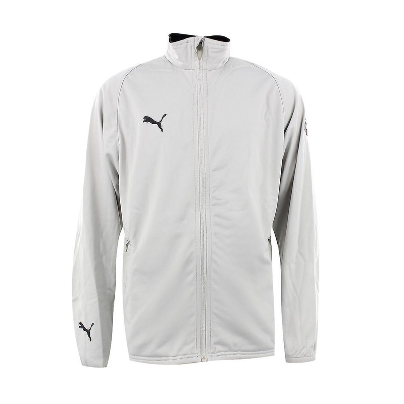 Puma Long Sleeve Zip Up Graphic Logo Light Grey Kids Track Jacket 650539 01